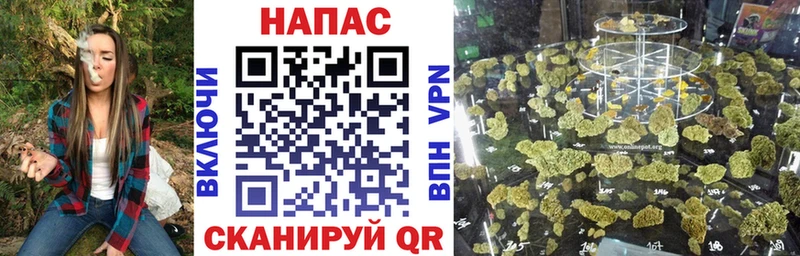 Сколько стоит Черкесск Галлюциногенные грибы  COCAIN 