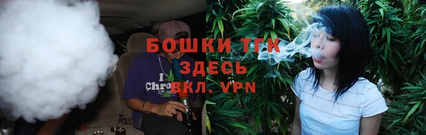 ешки Дмитриев