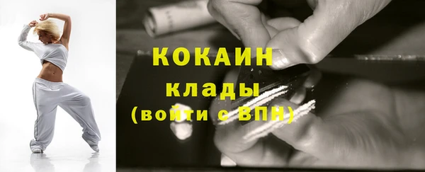 сатива Дмитровск