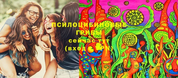 ешки Дмитриев