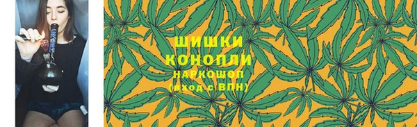 ешки Дмитриев