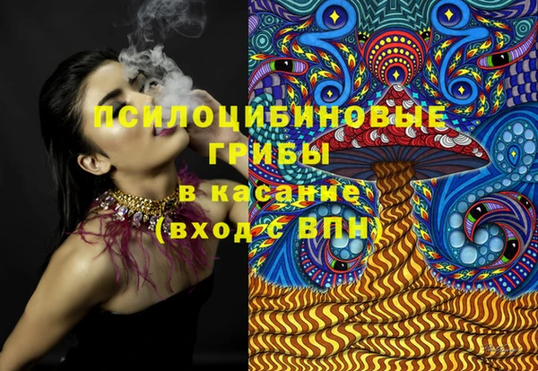 твердый Дмитров