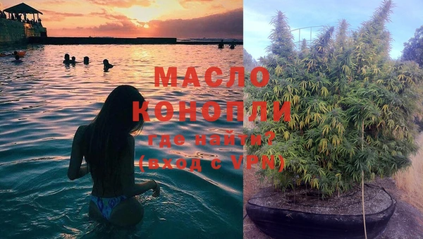 ешки Дмитриев