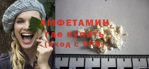 твердый Дмитров