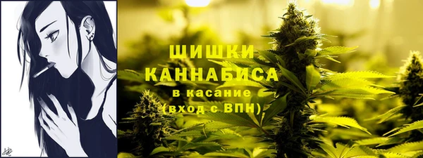 сатива Дмитровск