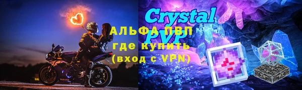 твердый Дмитров