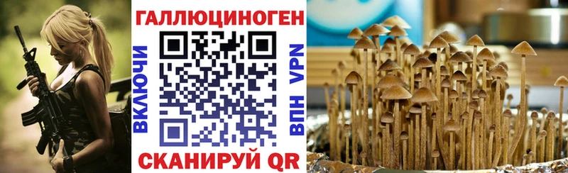 Галлюциногенные грибы мицелий  где продают   Черкесск 